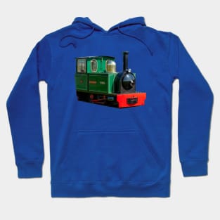 Narrow guage train Hoodie